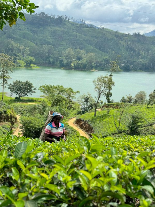 Sri Lanka 1